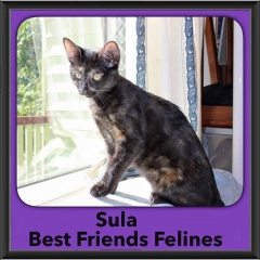 2015 - Adopted - Sula