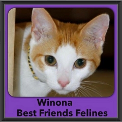 2015 - Adopted - Winona