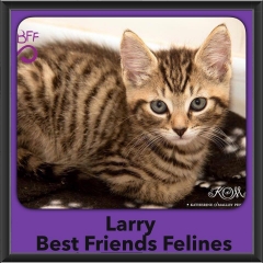 2015 - Adopted - larry