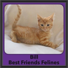 2016-Adopted-Bill