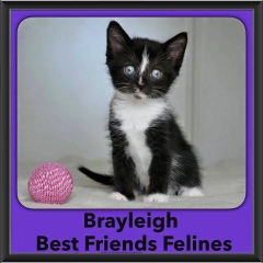 2016-Adopted-Brayleigh