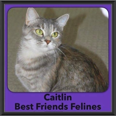 2016-Adopted-Caitlin