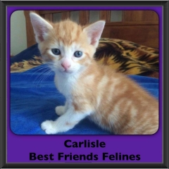 2016-Adopted-Carlisle