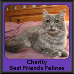 2016-Adopted-Charity