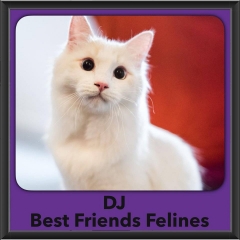 2016-Adopted-DJ