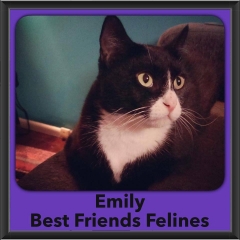 2016-Adopted-Emily-2