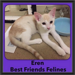 2016-Adopted-Eren
