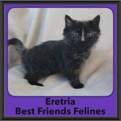 2016-Adopted-Eretria