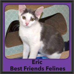 2016-Adopted-Eric