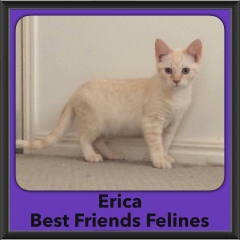 2016-Adopted-Erica