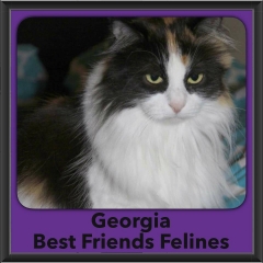 2016-Adopted-Georgia