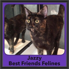 2016-Adopted-Jazzy