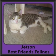 2016-Adopted-Jetson