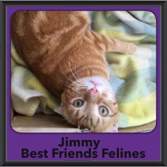 2016-Adopted-Jimmy