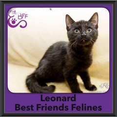 2016-Adopted-Leonard