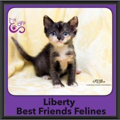 2016-Adopted-Liberty