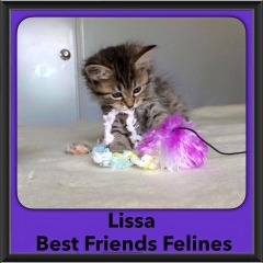 2016-Adopted-Lissa