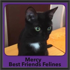 2016-Adopted-Mercy
