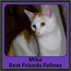 2016-Adopted-Mike
