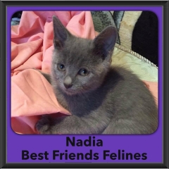 2016-Adopted-Nadia