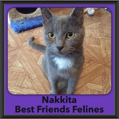 2016-Adopted-Nakkita