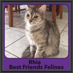 2016-Adopted-Rhia