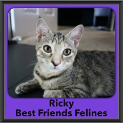 2016-Adopted-Ricky