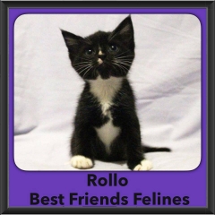 2016-Adopted-Rollo