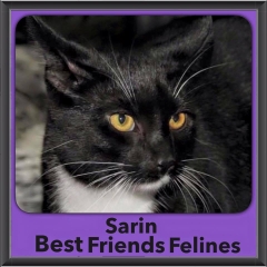 2016-Adopted-Sarin