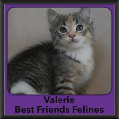 2016-Adopted-Valerie