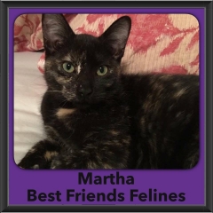 2016-Adopted-martha