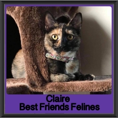 2018 - Claire