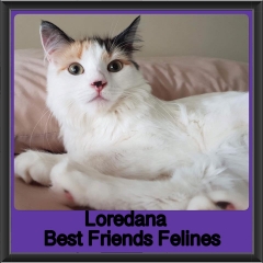2018 - Loredana