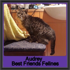 2019-Audrey