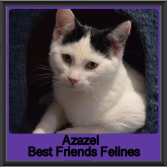 2019-Azazel