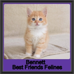 2019-Bennett