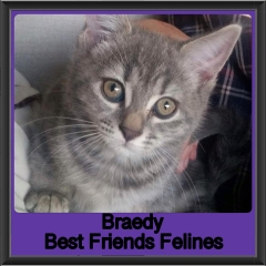 2019 - Braedy