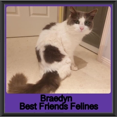 2019-Braedyn