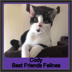 2019 - Cody1