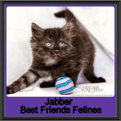 2019-Jabber