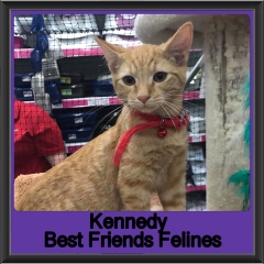 2019 - Kennedy1