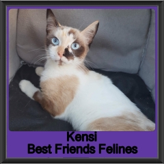 2019 - Kensi