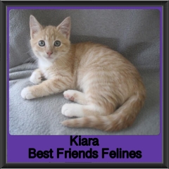 2019-Kiara