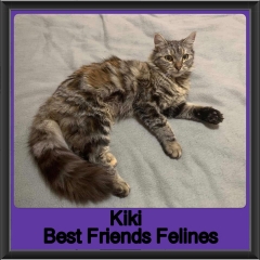 2019-Kiki