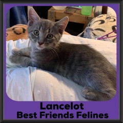 2019-Lancelot1