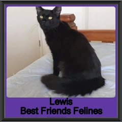 2019-Lewis