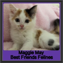 2019 - Maggie May