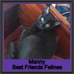 2019 - Manny