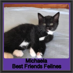 2019-Michaela