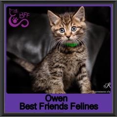 2019-Owen